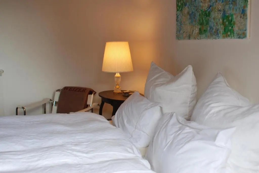 Standard Double room with mountain view (full double bed)