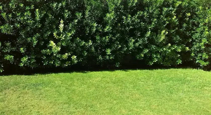 B&B Quartello Garden