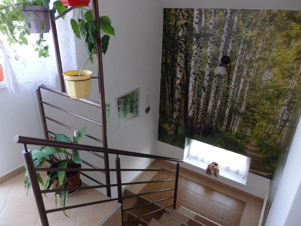 Standard Double room with balcony and with view full double bed