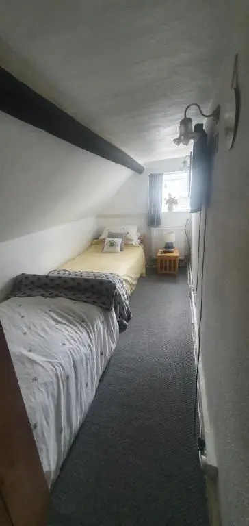 Economy Double room (twin beds)