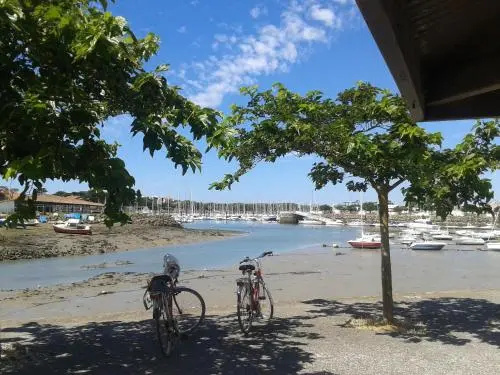 Beach & Waterfront