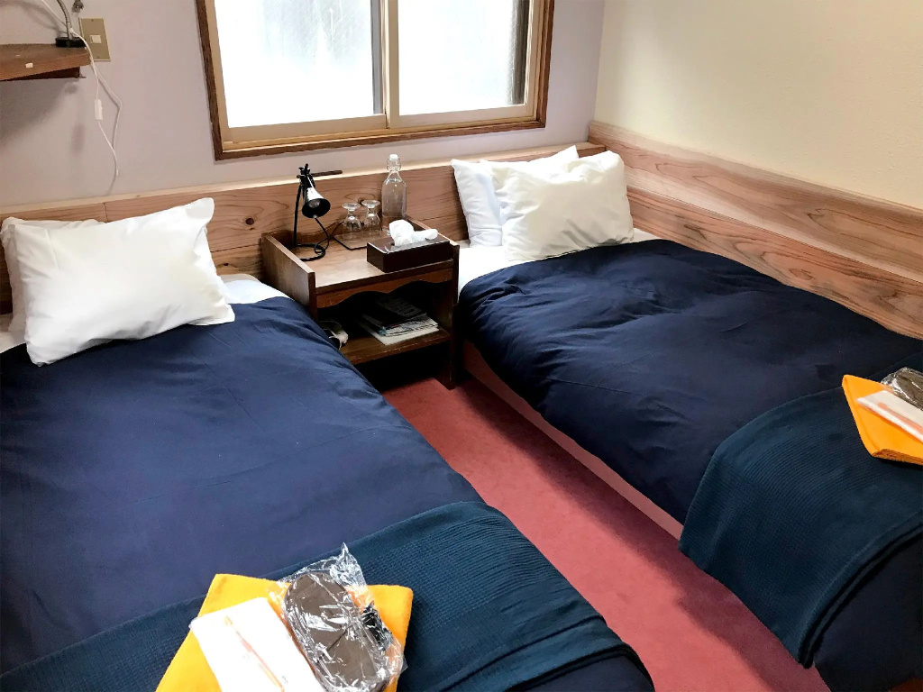 Standard Double room (twin beds)