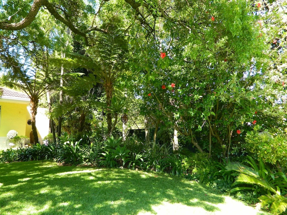 Kareeblom Guesthouse