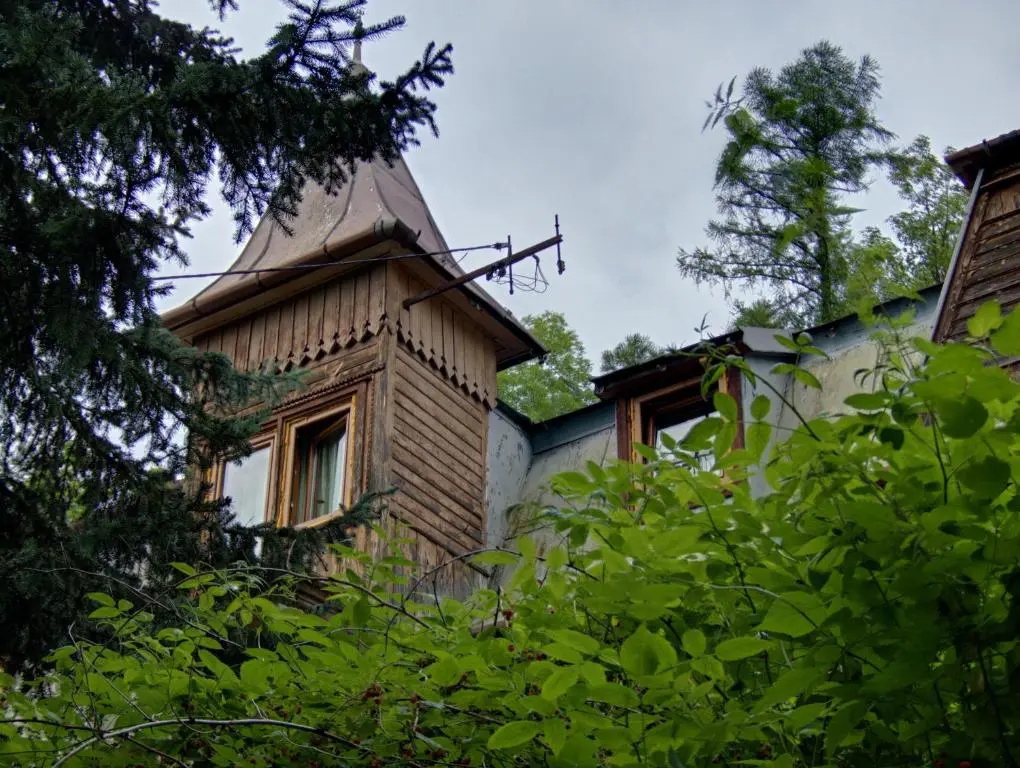 Lesny Ogród - Ayur Garden