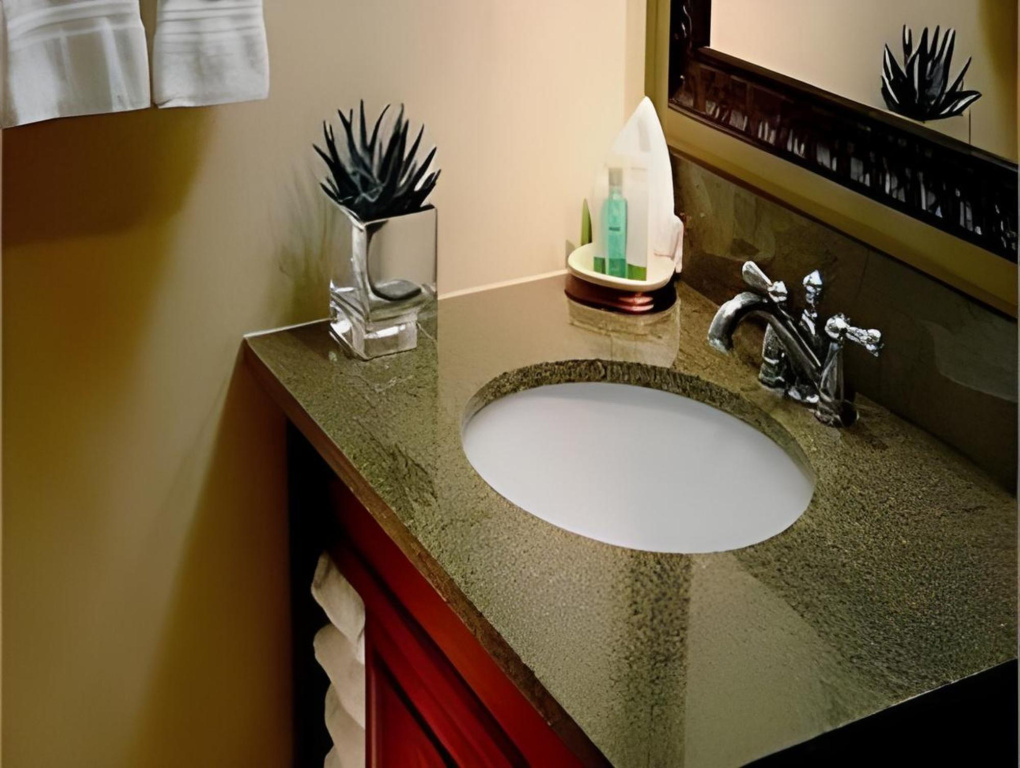 Holiday Inn San Antonio-Downtown/Market Square - Général