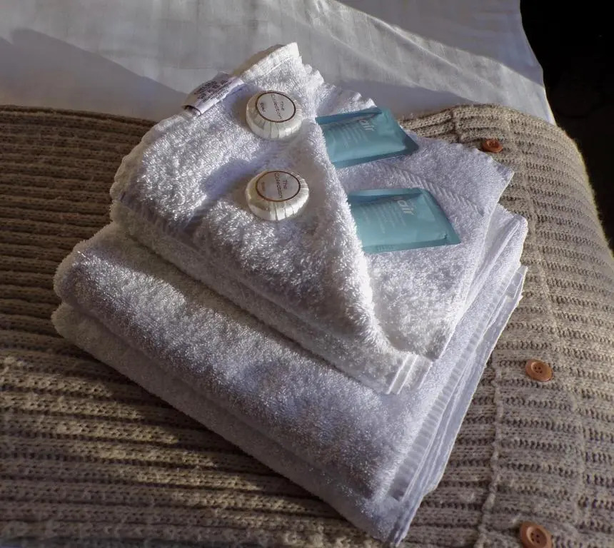 經濟雙人房，兩張單人床