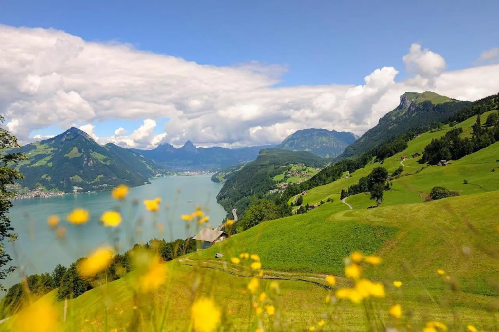Seeblick Höhenhotel - Général