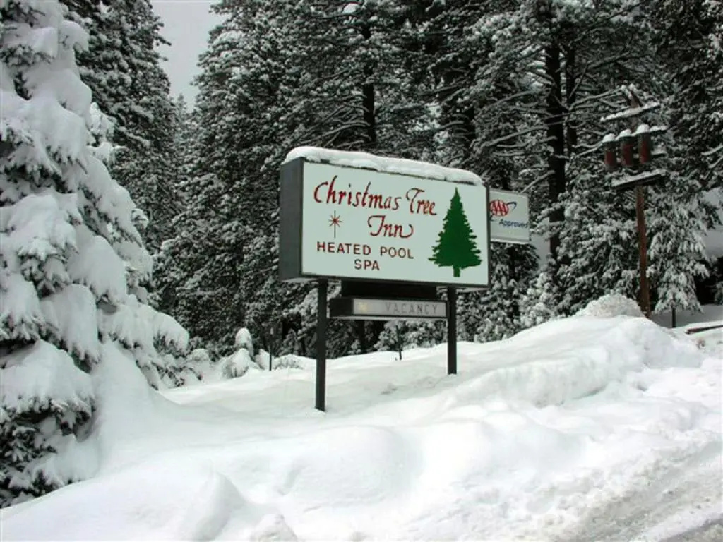 The Christmas Tree Inn