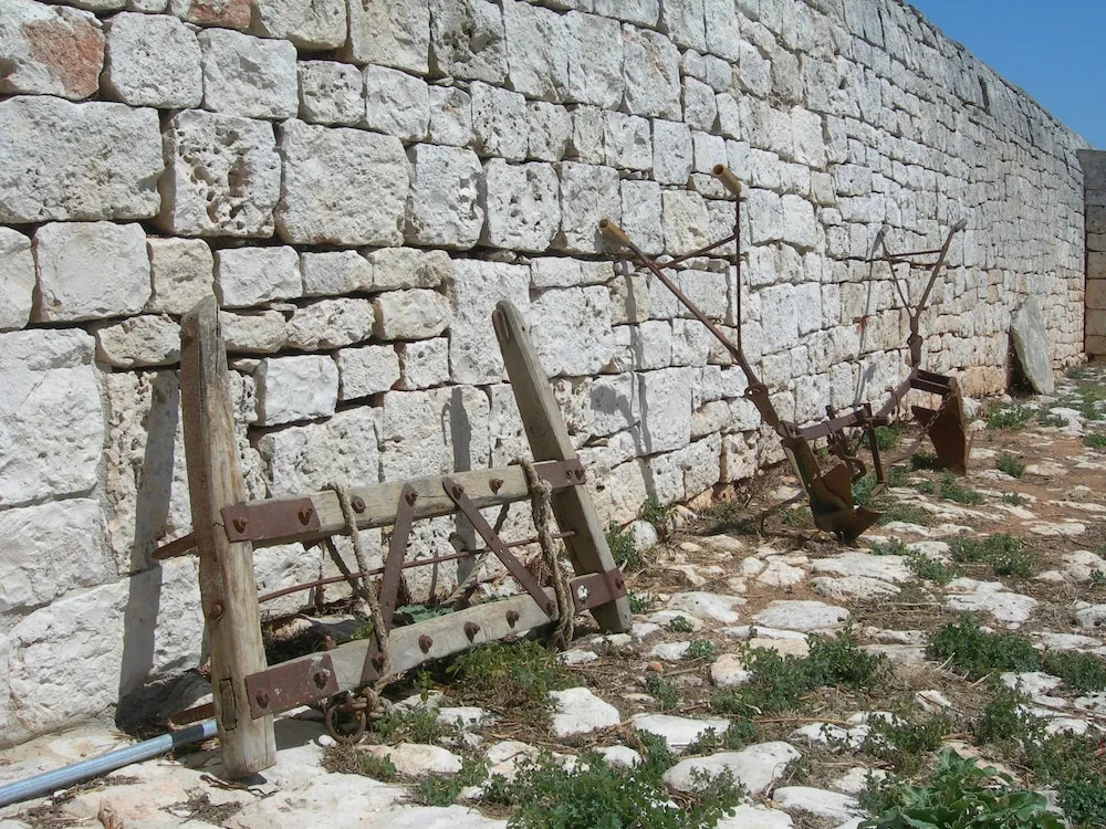 Masseria Montecchie - Général