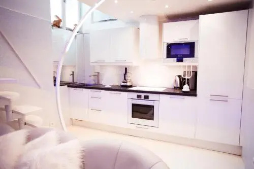Stylish,luxury duplex Paris city center
