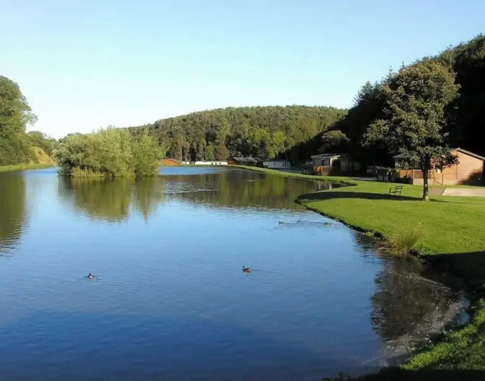 Holiday Cabin Sleeps 5, Pets, Edinburgh Festival