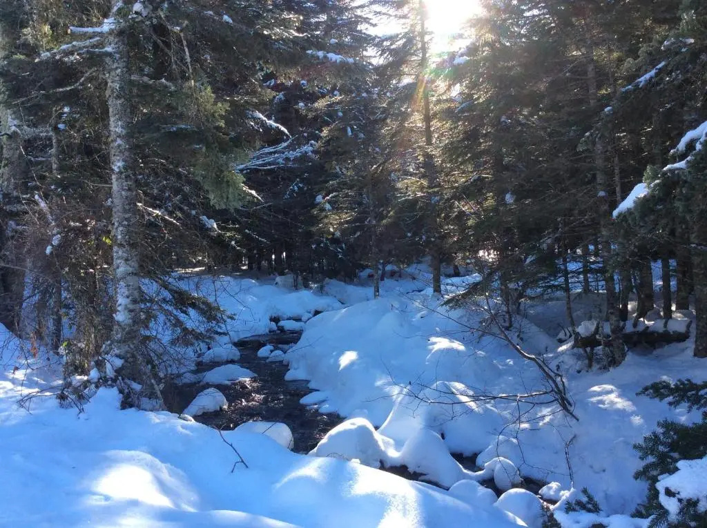 Gite Du Montagnol A Payolle