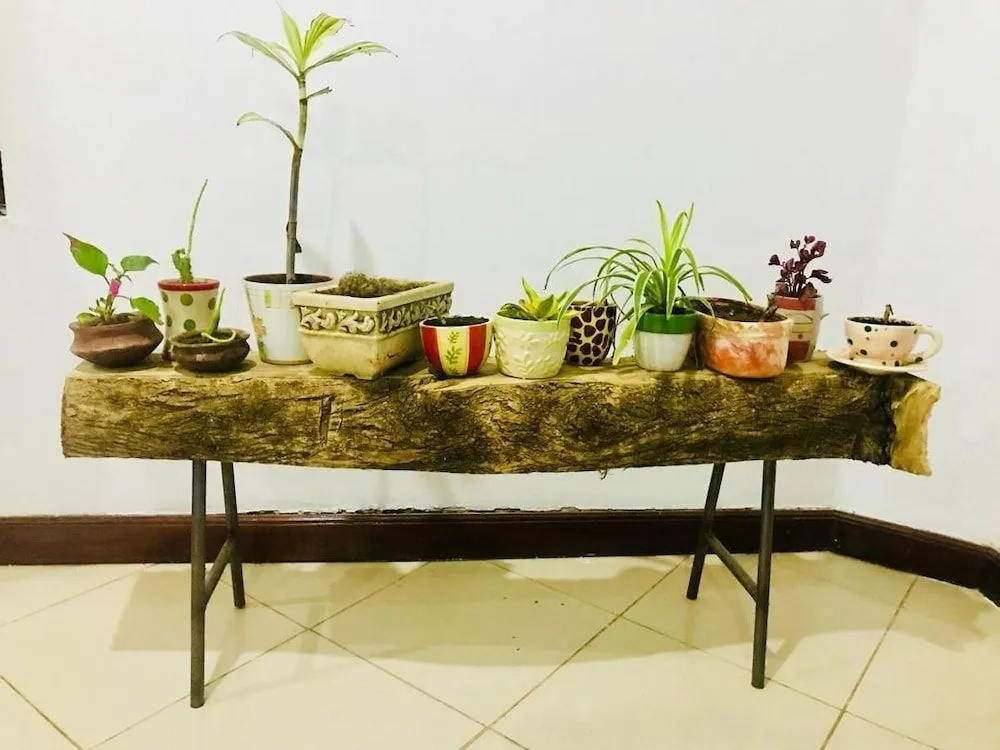 Arusha Jambo House