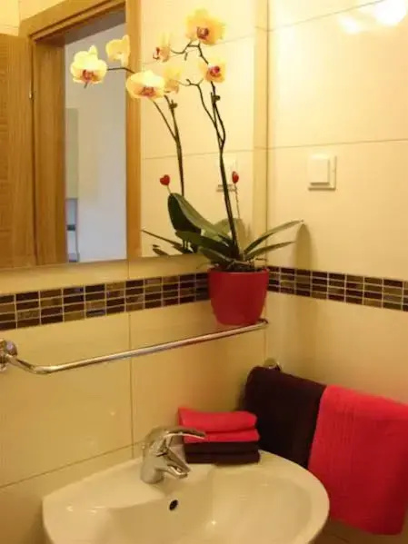 Hotel photo 43