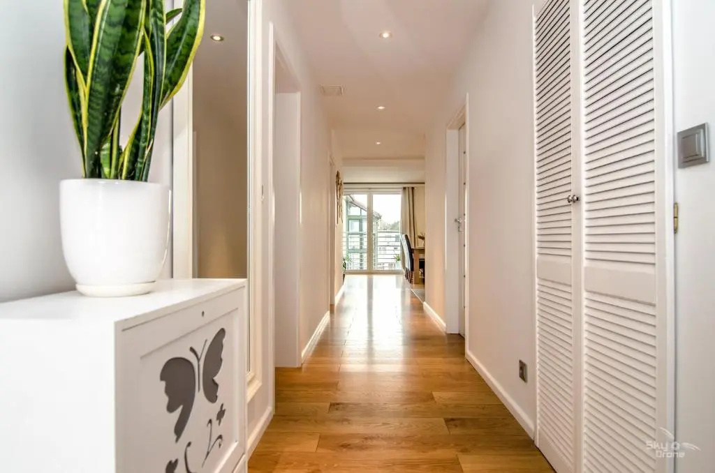 Apartament Timon