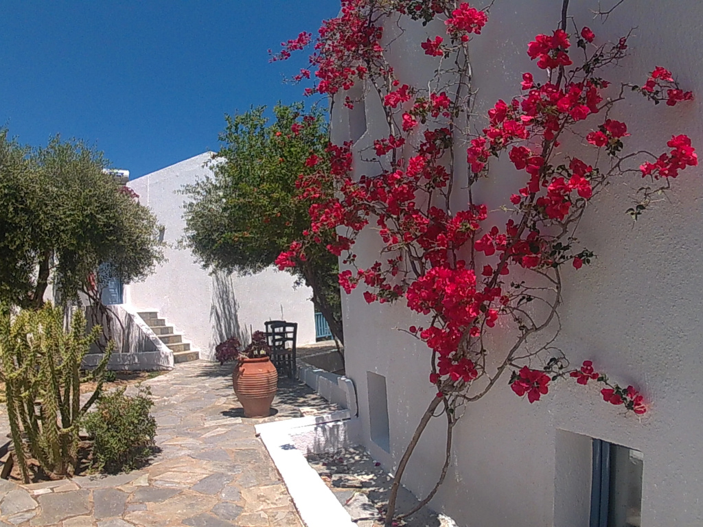 Palatia Village - Général