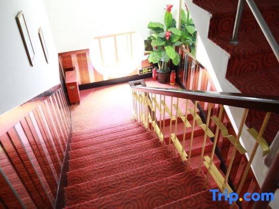 Balcony & Terrace