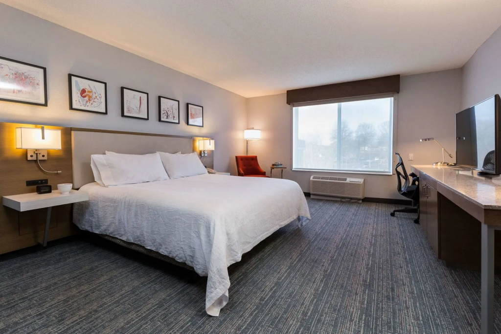 Hilton Garden Inn Atlanta North/Johns Creek - Général