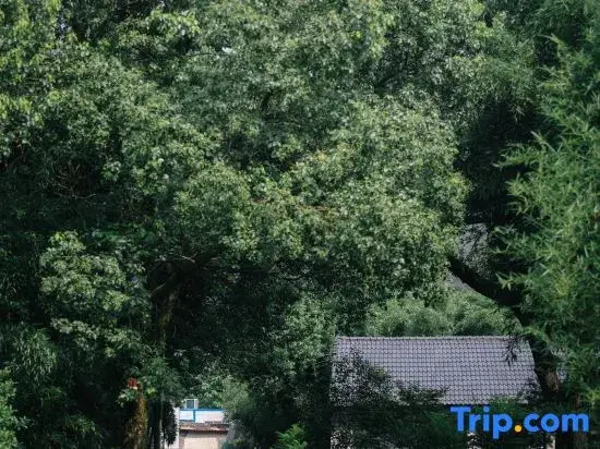 Jingshan Green Zen Academy