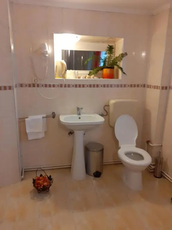 Vila Floare de Colt - Chambres