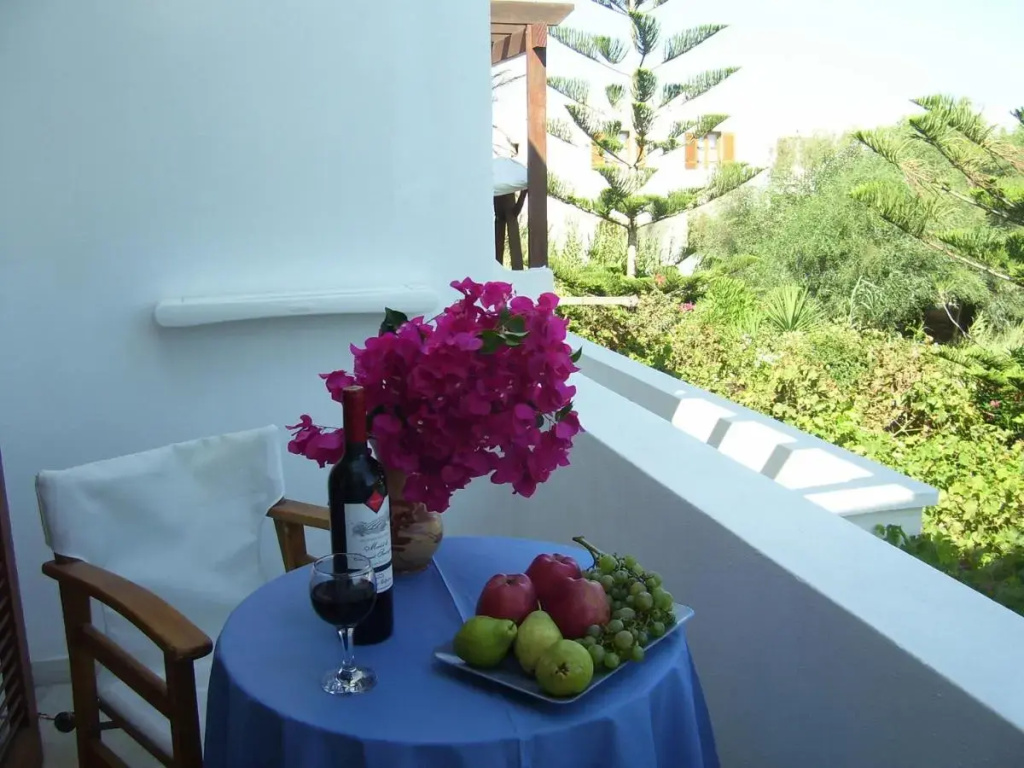 Ioli Apartments Fourka Beach, Халкідікі, Греція мініатюра 8