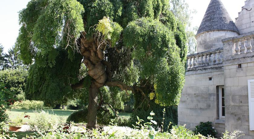 Voir la photo 4 — La Barbotine