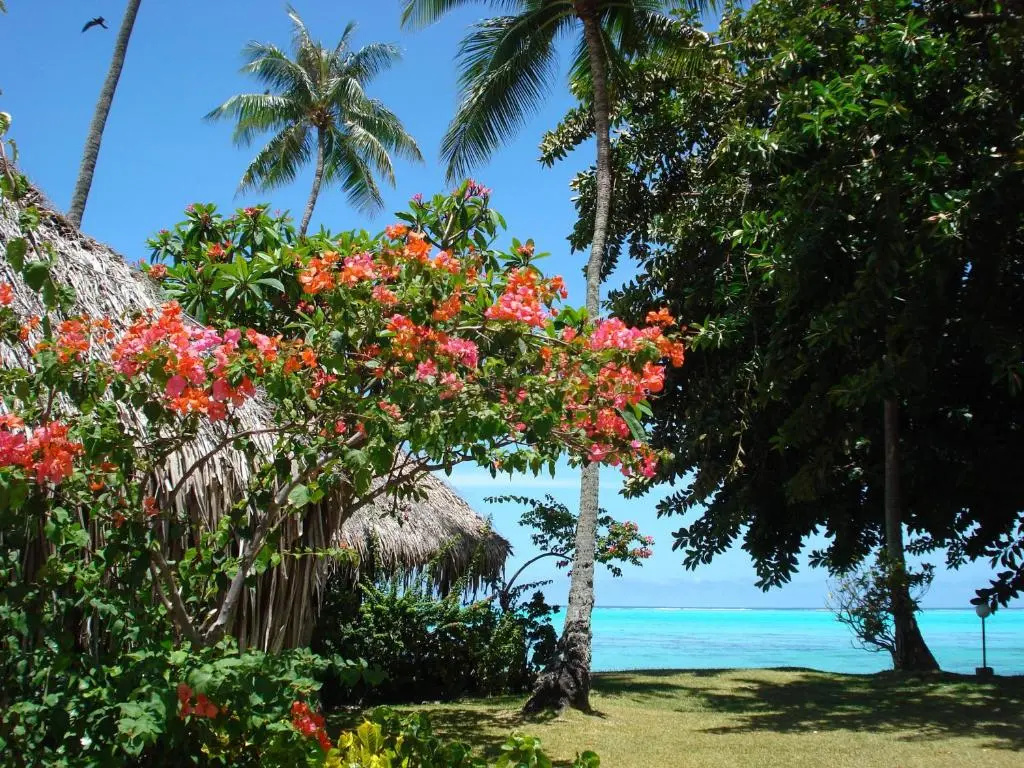 Double Bungalow with bay view (full double bed)