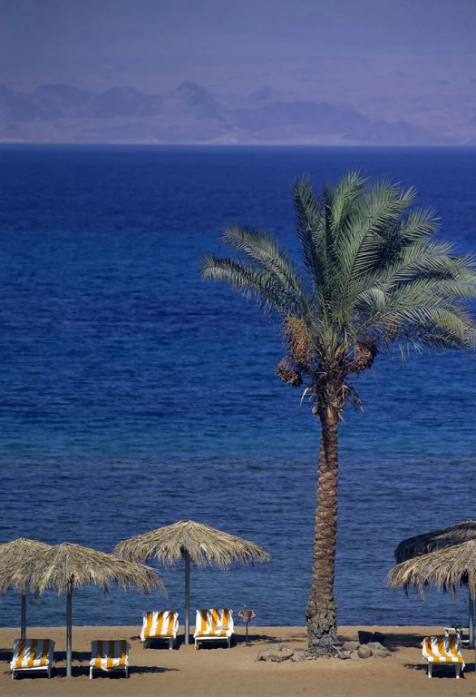 La Playa Beach Resort Taba - фото 8