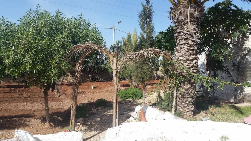 Riad Itri - Général