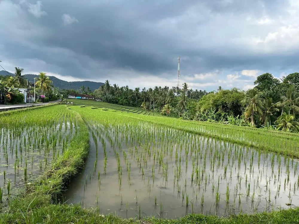 Mejan Beach Home Stay