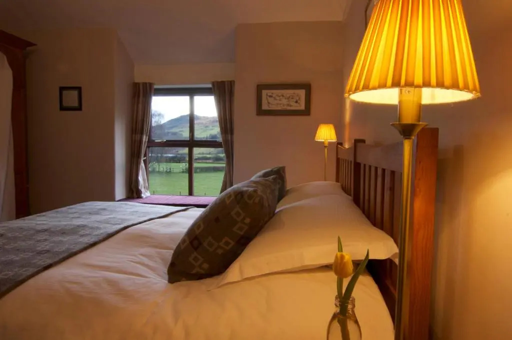Dolffanog Fawr - Chambres