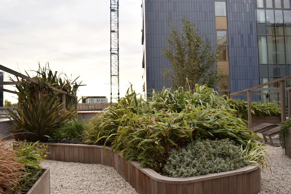 Modern 1 Bedroom Apartment in Paddington