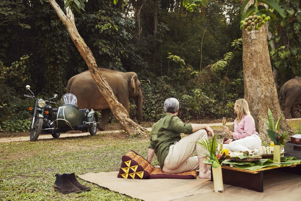 Anantara Golden Triangle Elephant Camp & Resort - Général