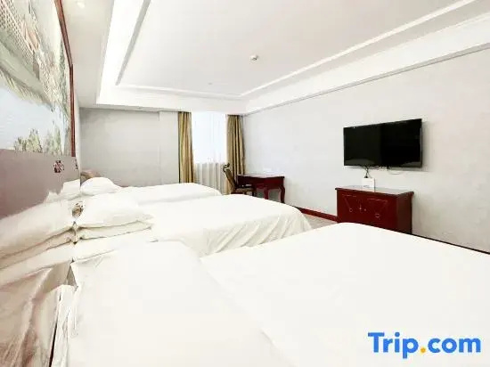 Vienna Hotel Shanghai Hongqiao Airport Center - Chambres
