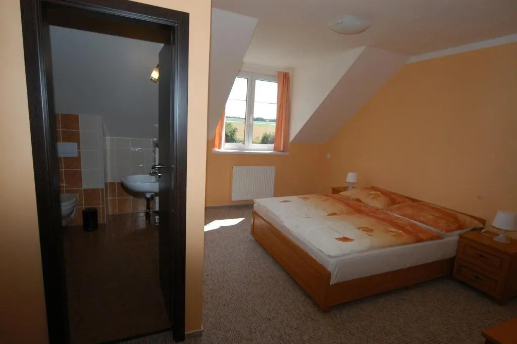 Standard Double room (full double bed)