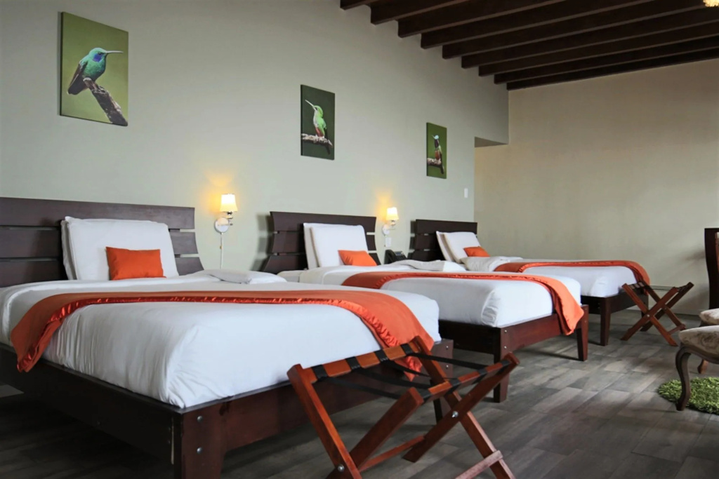 Hotel Colonial San Agustin - Général