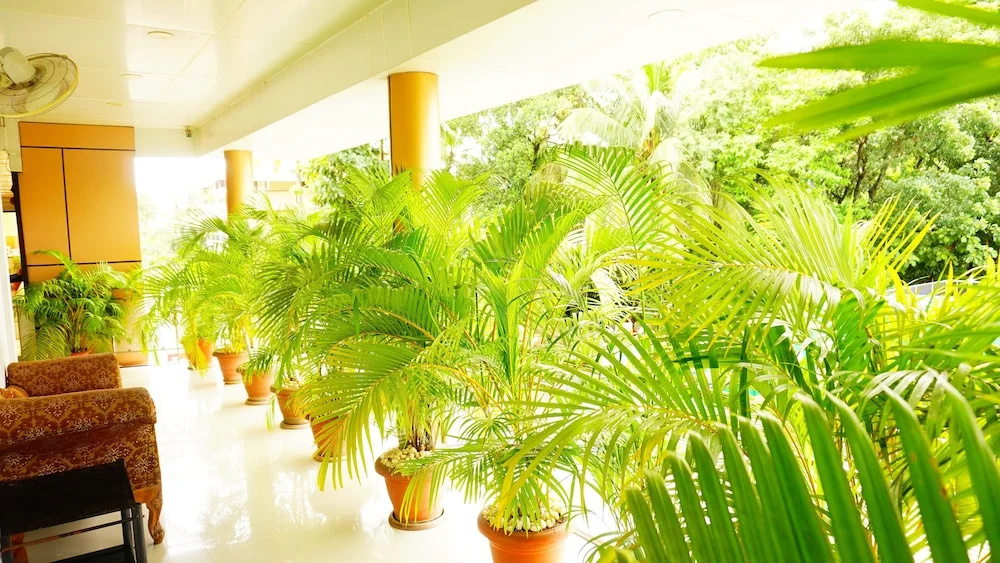 Hotel photo 15