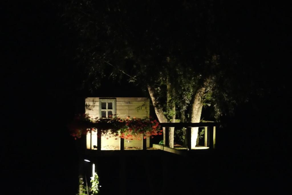 Image 11