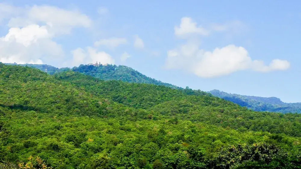 The Star Hill - фото 40