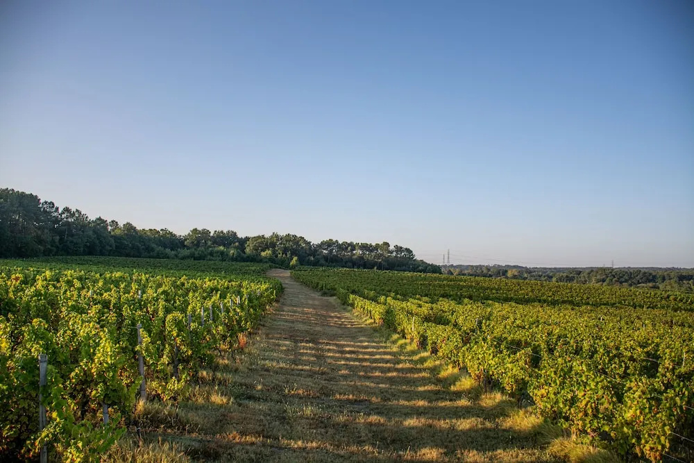 VANDENBELD Wines B&B