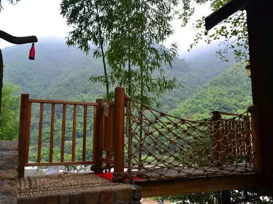 Tree House Guesthouse