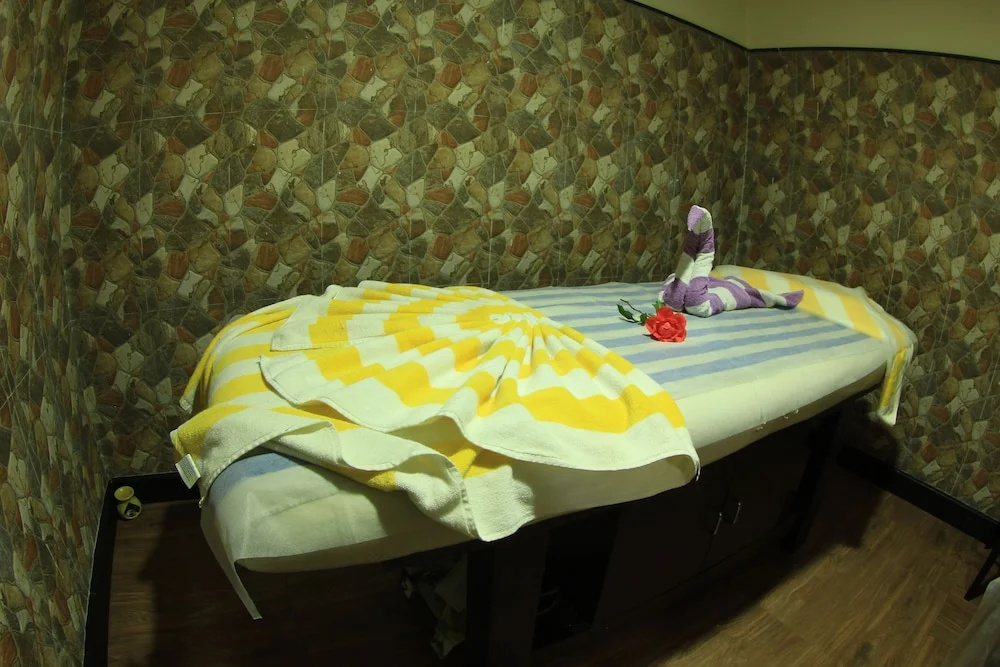 Hotel Piccadily Manali - Général