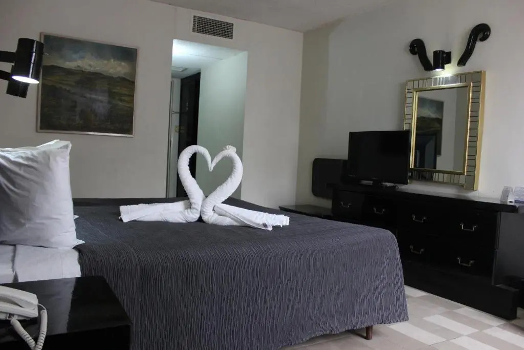 Hotel Aristos Puebla - Chambres