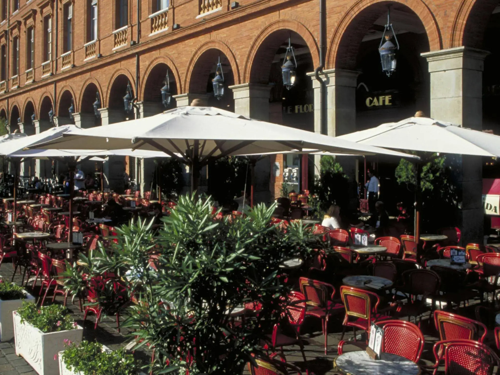 Aparthotel Adagio Access Toulouse Saint Cyprien - Général
