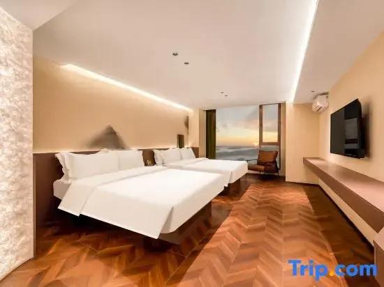 Standard Double room with city view (twin beds)