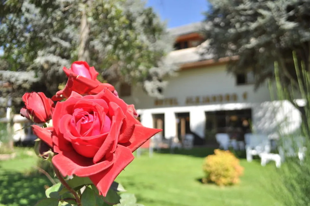 Hotel Alejandro I Patagonia - Général