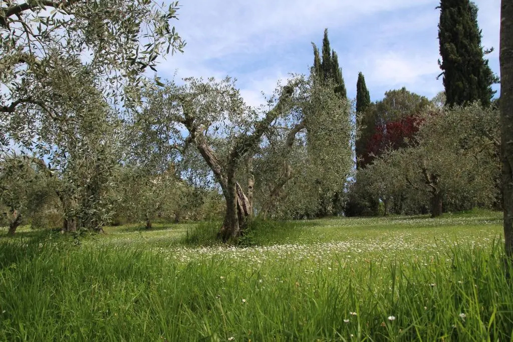 Agriturismo Romitorio
