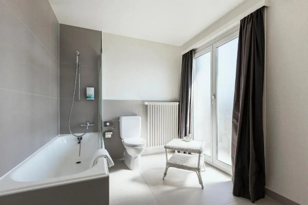Standard Double room with lake view (full double bed)