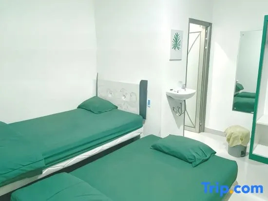 Standard Double room (twin beds)