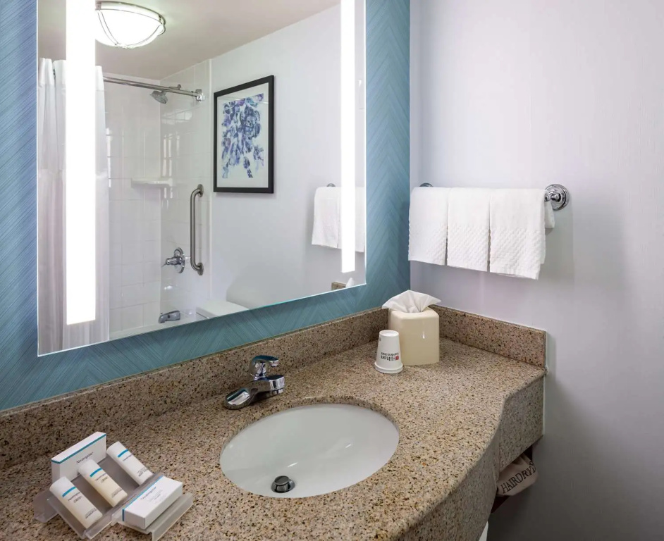 Hilton Garden Inn Chicago OHare Airport - Général